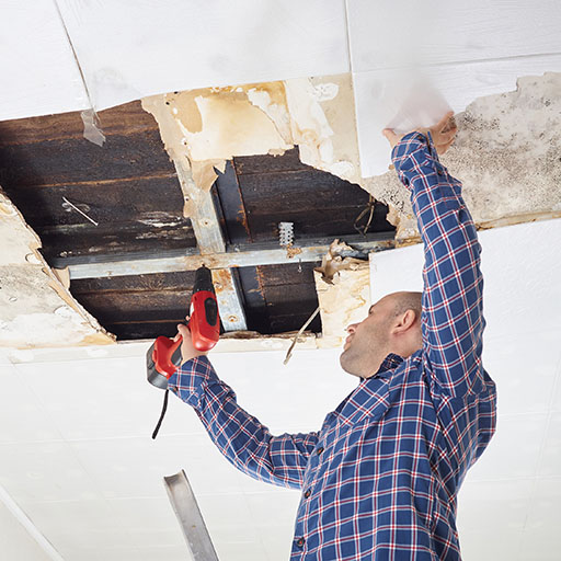 House fixing or repairing