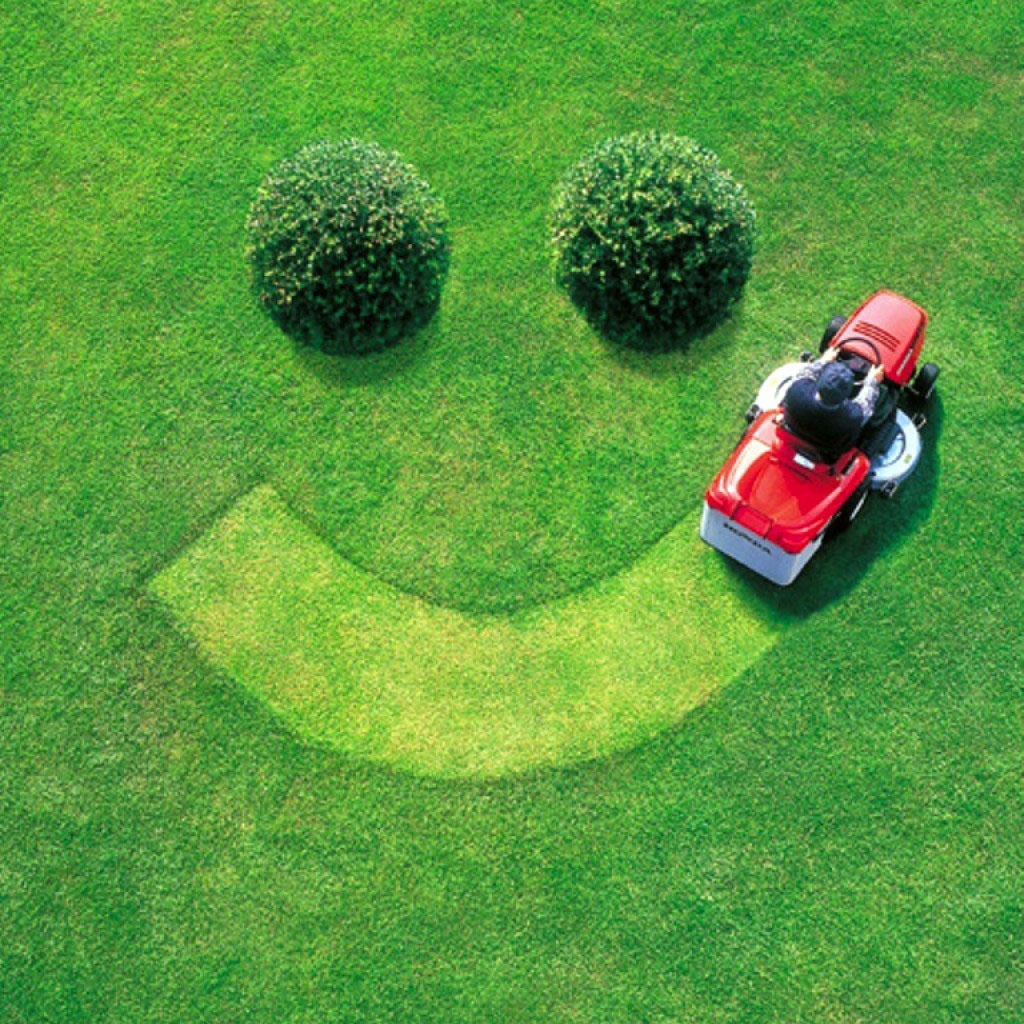 Landscaping Work in UAE